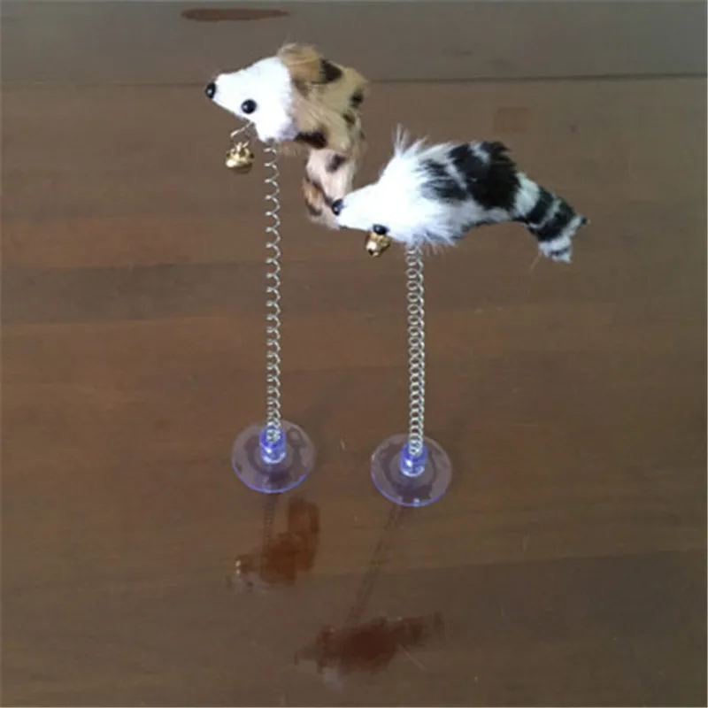 3515673616_710608776