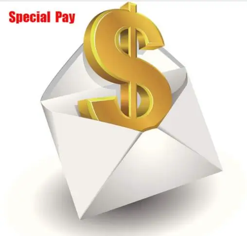 

Special Payment Link for VIP Customers/Buyers