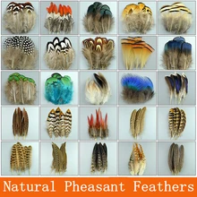 Special Offers Natural chicken pheasant feathers Rooster peacock Plumes DIY decor feathers for crafts Jewelry Accessories Wedding decoration