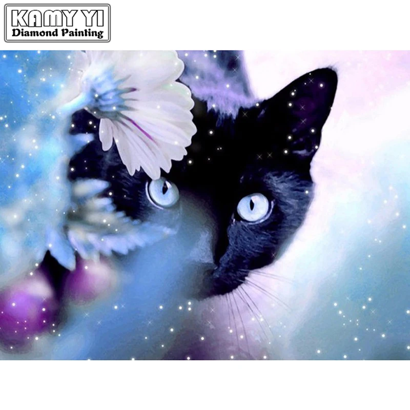 HTB1TvaDRpXXXXbfaFXXq6xXFXXXf 