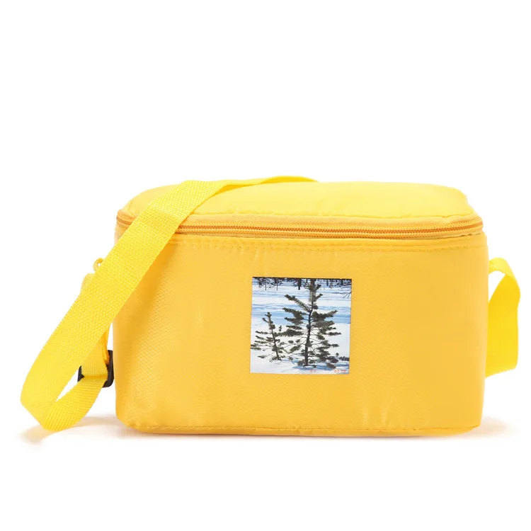 Фирменный термальный цветной маленький кулер для пикника, сумка для обеда с изоляцией, крутые сумки через плечо, пакет для льда, термо-Ланч-бокс, сумки для еды