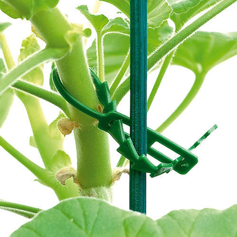 

WCIC Reusable Plant Cable Ties 20pcs Adjustable Tree Climbing Support Garden Horticulture Planting Supplies Grafting Clips