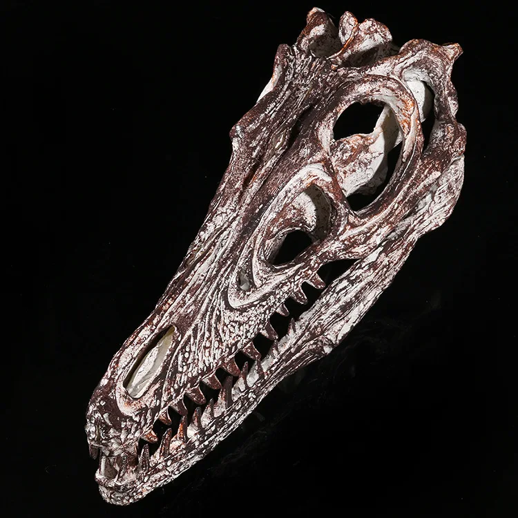 Velociraptor Skull Dinosaur Статуэтка из полистоуна модель 1/1 Fossil Resin череп динозавра|skull