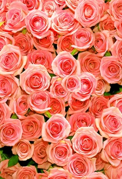 

Custom washable wrinkle free nice rose flowers photography backdrops for wedding newborn photo studio portrait background F-1104