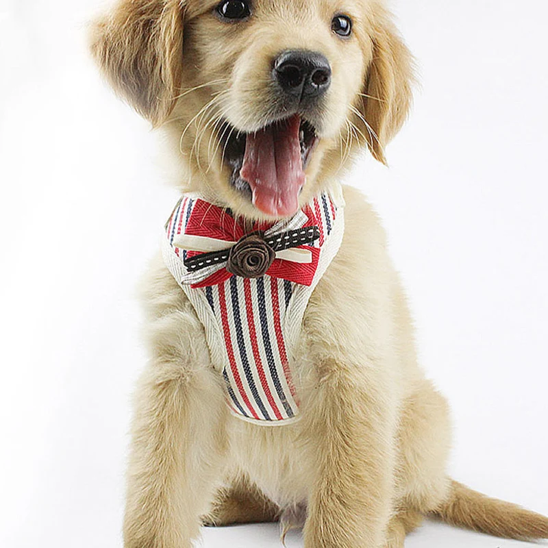 

New Small Dog Fashion Harness And Leash Set Pet Cat Vest Harness With Breathable Dog Chest Strap Pet Leash Pet Supplies PC604