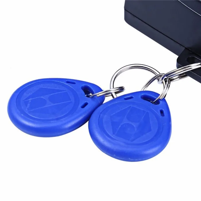 4402563818_1734423618