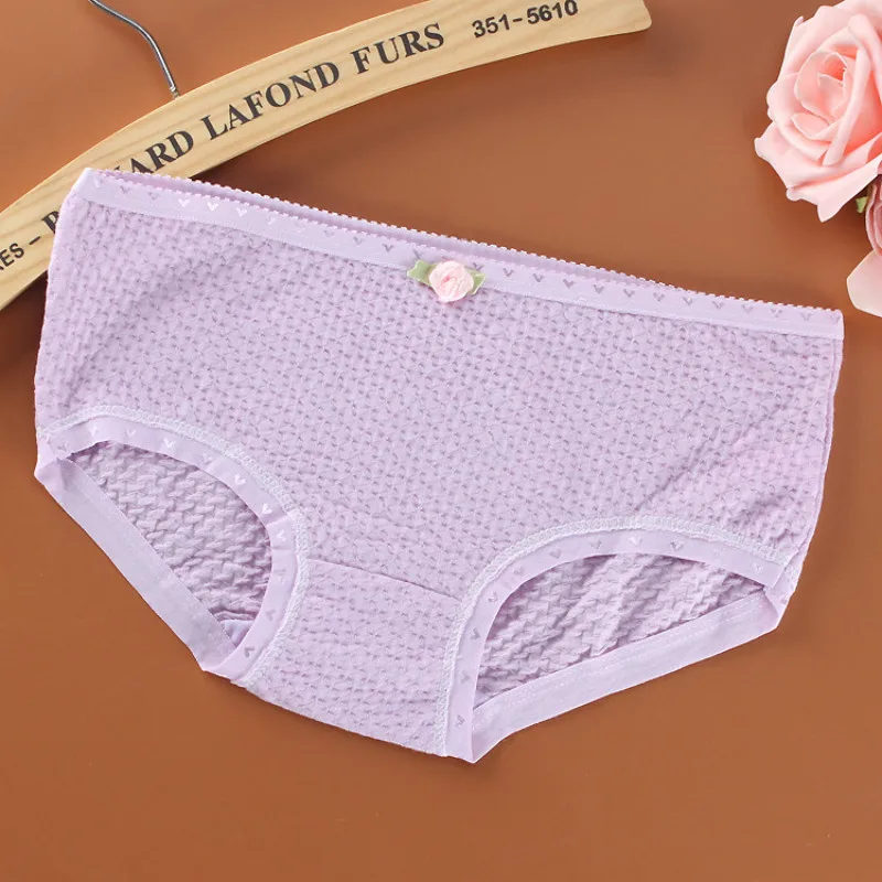 

4 Pcs/Lot Soft Cotton Young Girl Briefs Candy Colors Girls Panties for Teenage Kids Underwear Pants Underpants 9-20T