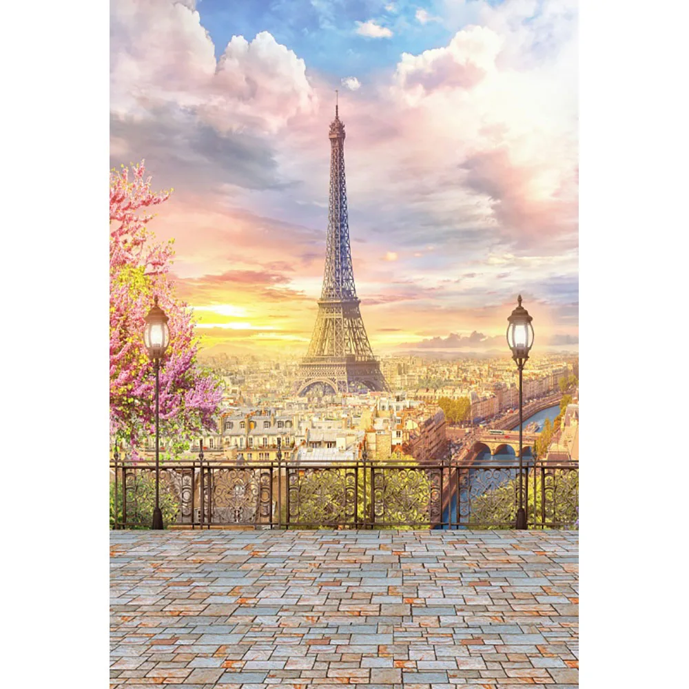 

Cloudy Eiffel Tower Paris Lanterns View Platform Photography Backgrounds Custom Photographic Backdrops for Photo Studio LV-1981