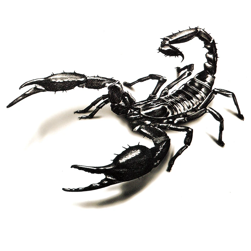 waterproof temporary tattoo stickers cute scary 3d scorpion animals design body art man woman make up tool in temporary tattoos from beauty health on