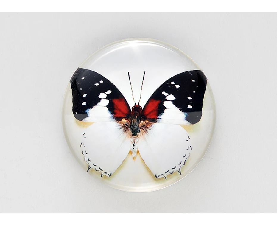 magnets for fridges 11