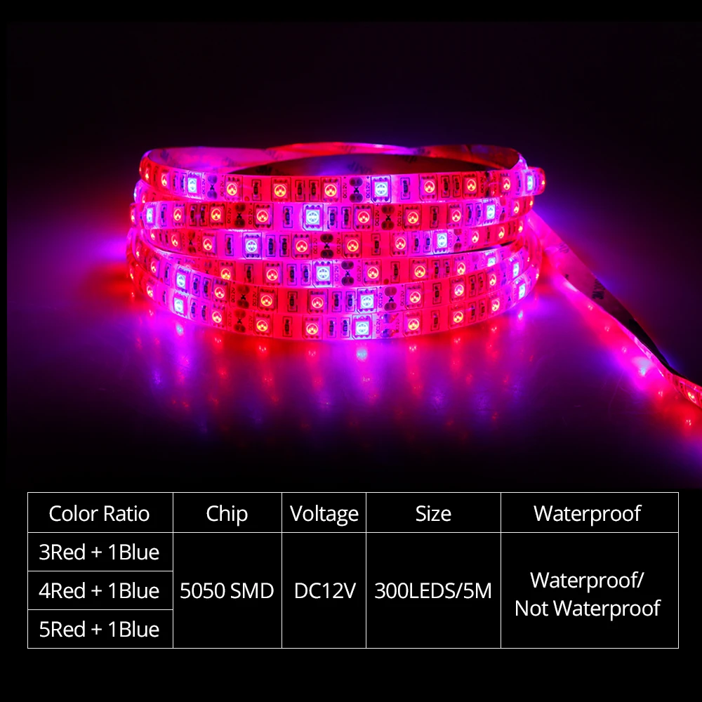 Foxanon полный спектр Led Grow Light 300 светодиодов 5 м фитолампы Strip огни с выключателем