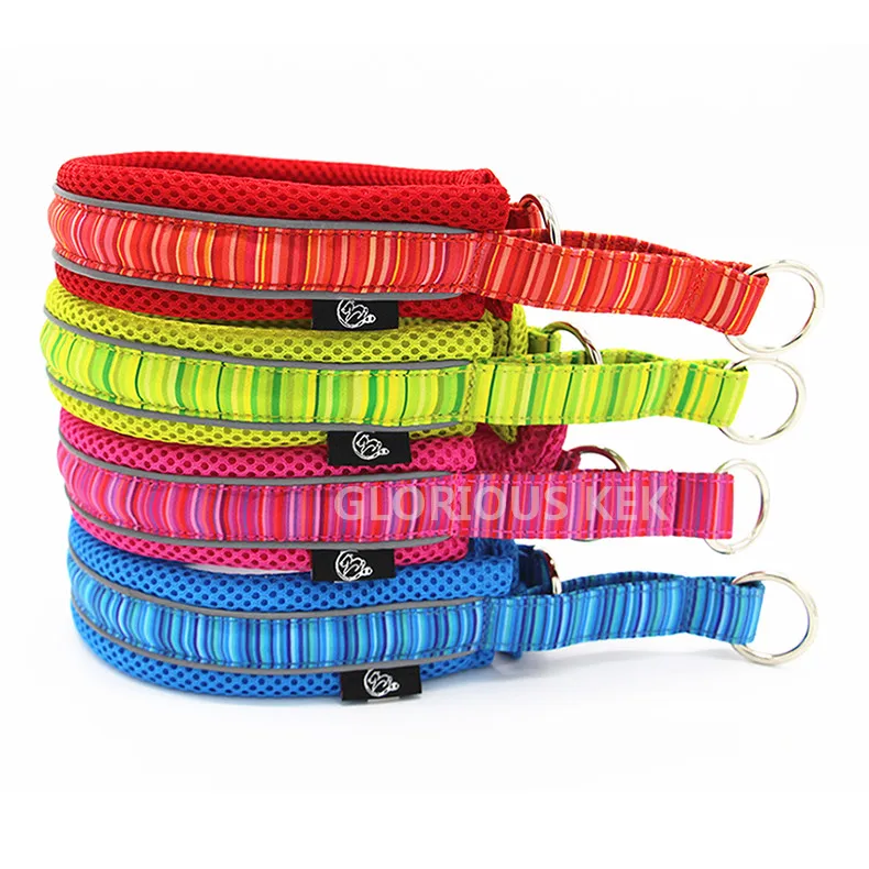 Dog Collars (17)