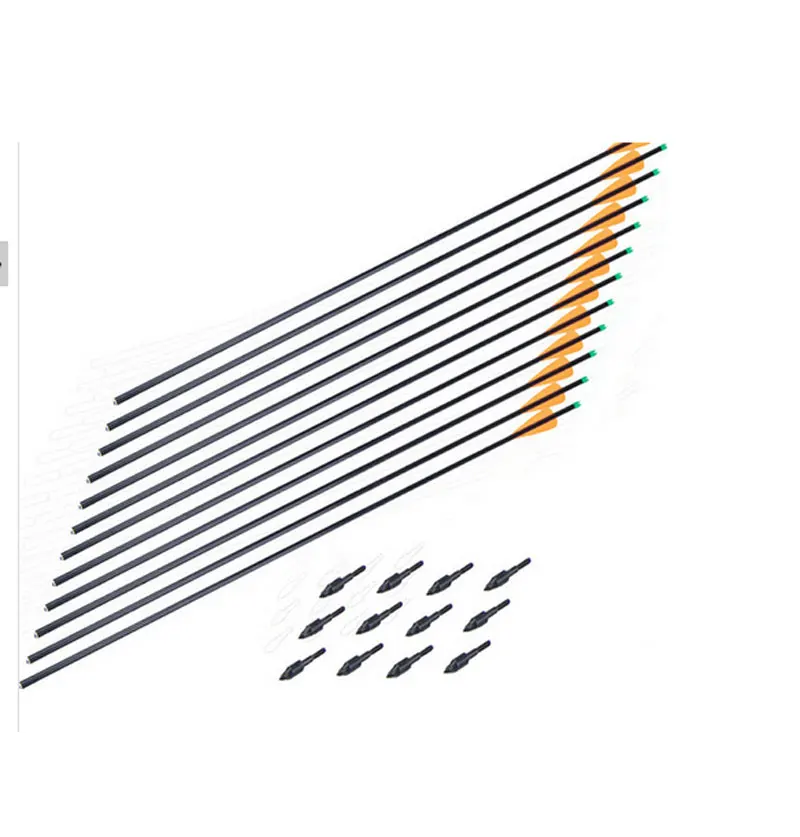 

Glass fiber Shooting Arrow with Replaceable Arrowhead and Plastic Feather for Long Bow For Hunting or Shooting Animals Mrlbm