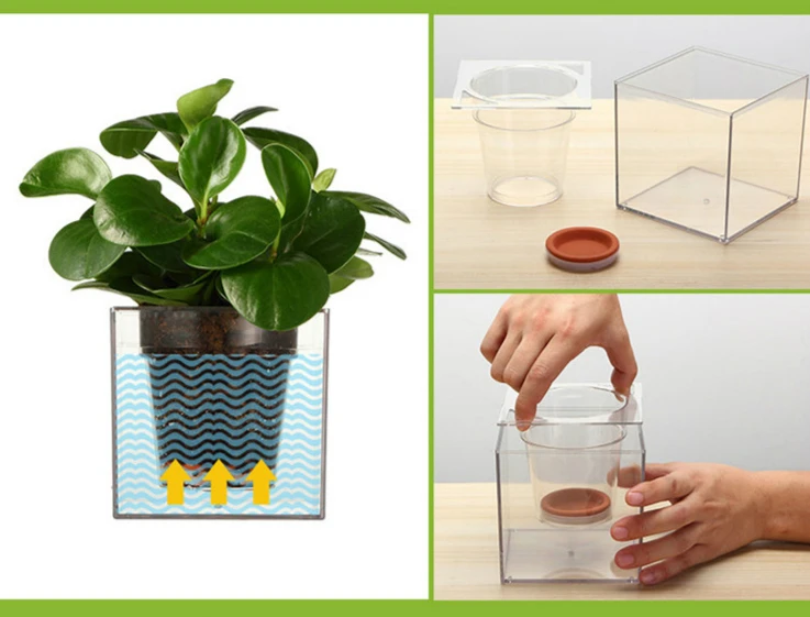 1piece Clear Plant Pot Flower Self Watering Planter Fish 1piece Clear Plant Pot Flower Self Watering Planter Fish Tank Creative Symbiotic System In Pots Planters From Home Garden On