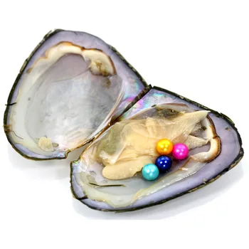 

10 quad oysters 4 pearls in one oyster PJW229