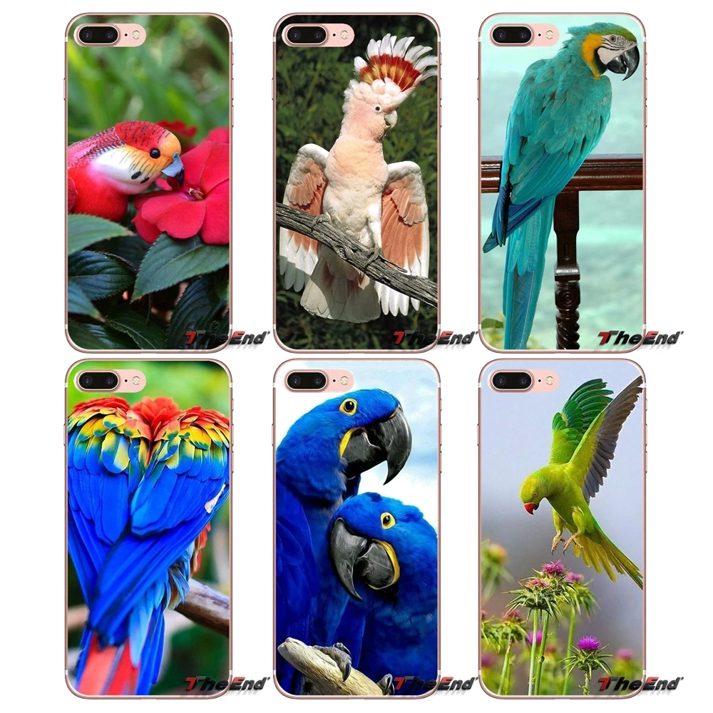 Прозрачный чехол из ТПУ с радужным попугаем для iPhone X 4 4S 5 5S 5C SE 6 6S 7 8 Plus Samsung Galaxy J1 J3