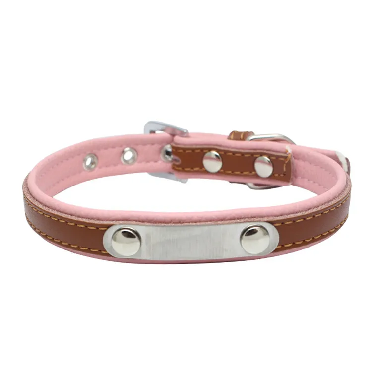 dogs collar (7)