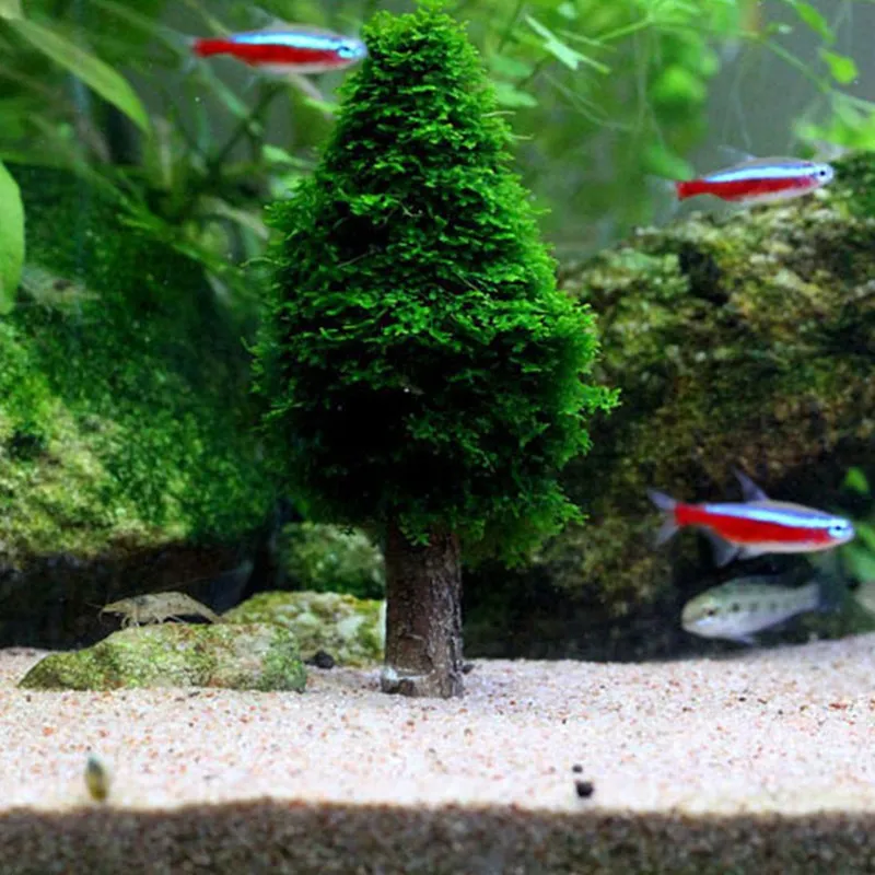 Simulation Xmas Moss Christmas Tree Plant Grow Aquarium Tank Landscape Decor New Aquarium ...