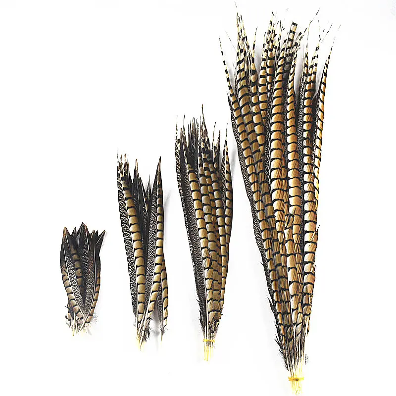

High quality Natural Lady Amherst Pheasant Feathers 10Pcs/Lot10-120CM jewelry Wedding Decorations plumes diy feathers for crafts