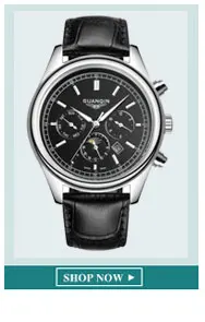 Relogio Masculino, Pagani, люксовый бренд, аналоговые спортивные наручные часы, дисплей, дата, мужские кварцевые часы, деловые часы, мужские часы