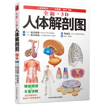 

3D human anatomy diagram human muscle anatomy movement anatomy tonic partial anatomy textbook