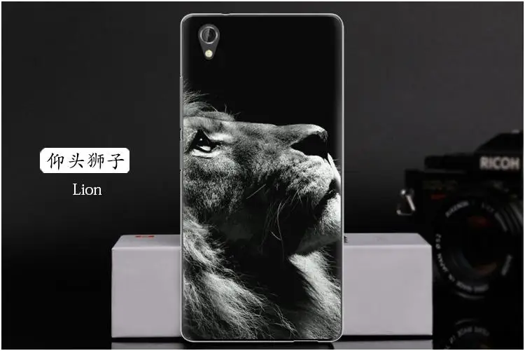  Lion