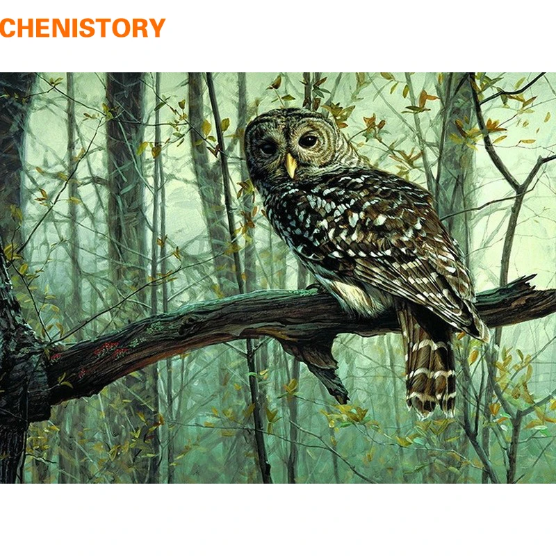 

CHENISTORY Owl Animals Diy Digital Painting By Numbers Modern Abstract Canvas Painting Unique Gift For Home Decoration Artwork