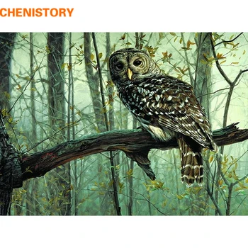 

CHENISTORY Owl Animals Diy Digital Painting By Numbers Modern Abstract Canvas Painting Unique Gift For Home Decoration Artwork