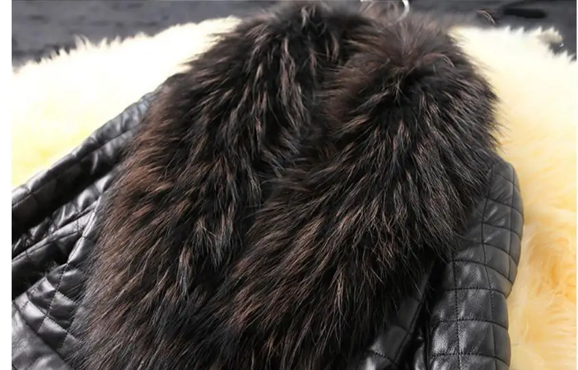 36020171003212748206