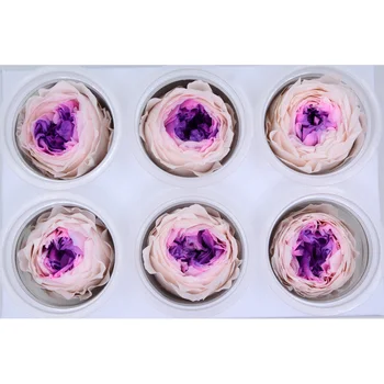 

valentine's day gifts promotion preserved austin flowers 6pcs/box diy eternal life flowers material 5-6cm austin