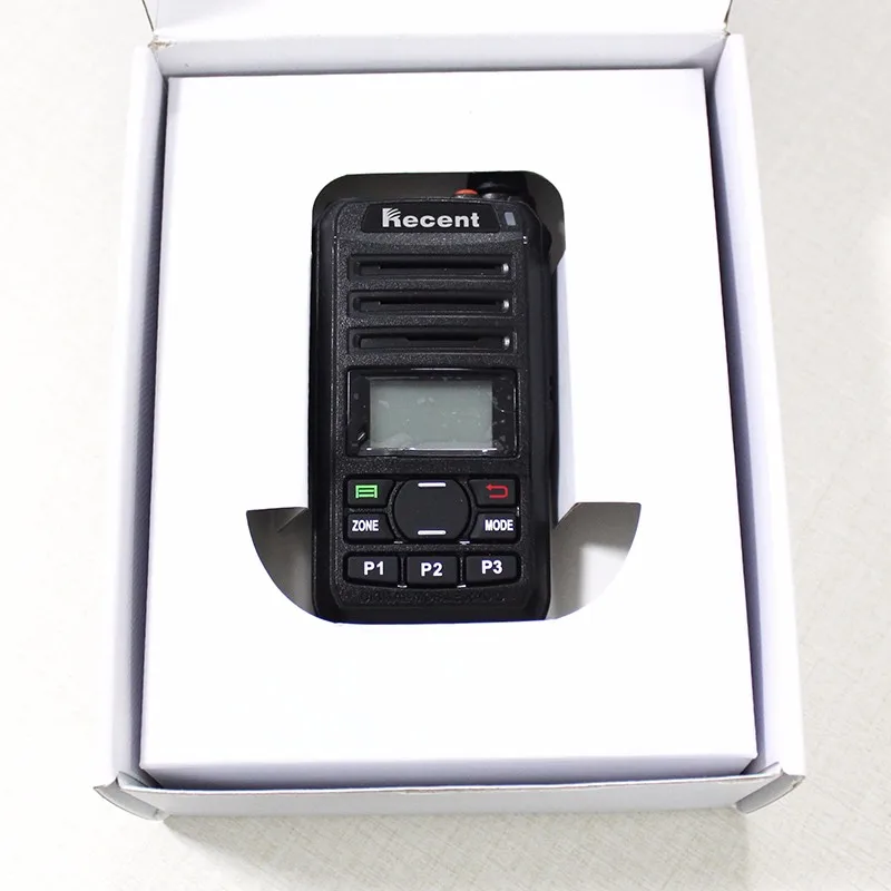 DPMR digital radio RS-309D-4