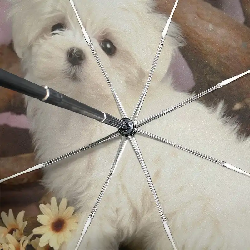 かわいい子犬自動傘防風マルチーズ犬旅行折りたたみ傘軽量コンパクトパラソル傘雨の女性 傘 Aliexpress