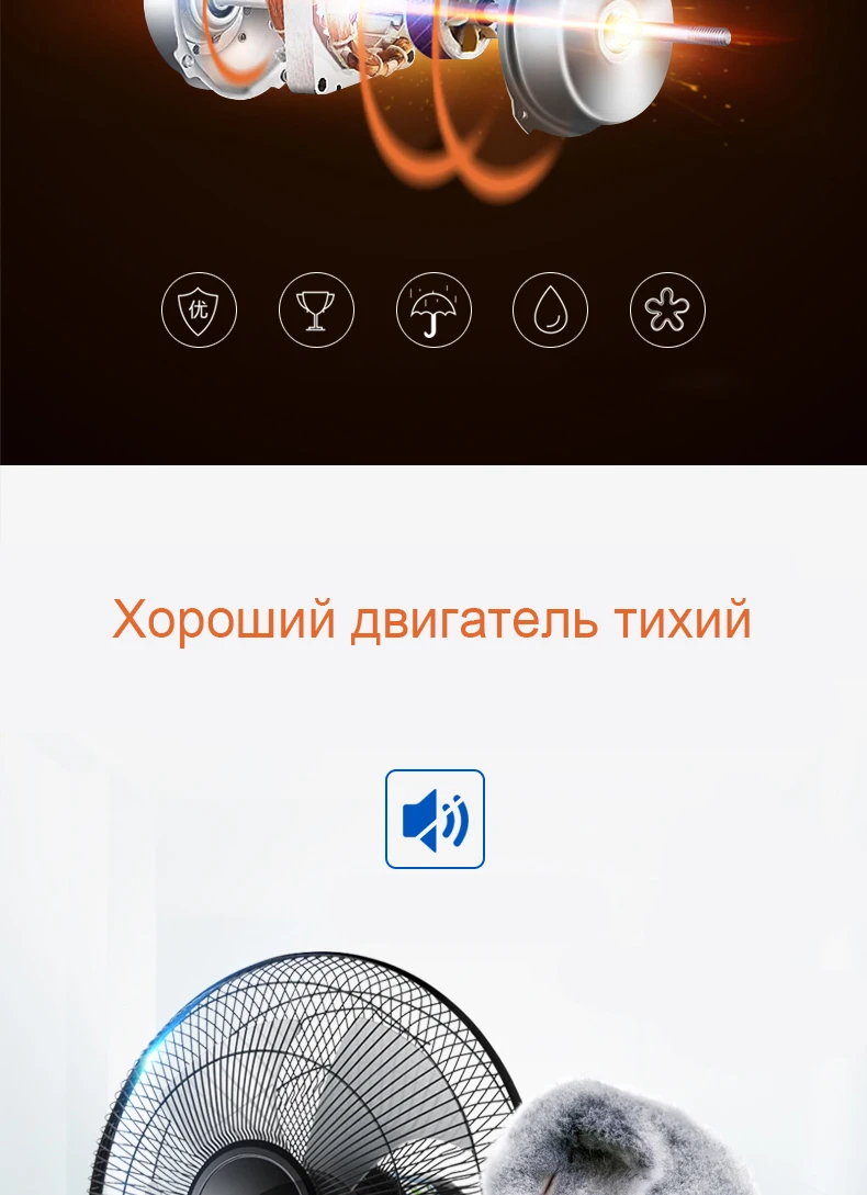 20190221_100622_007