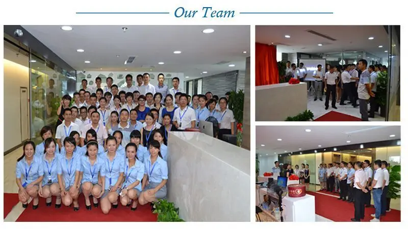 our team