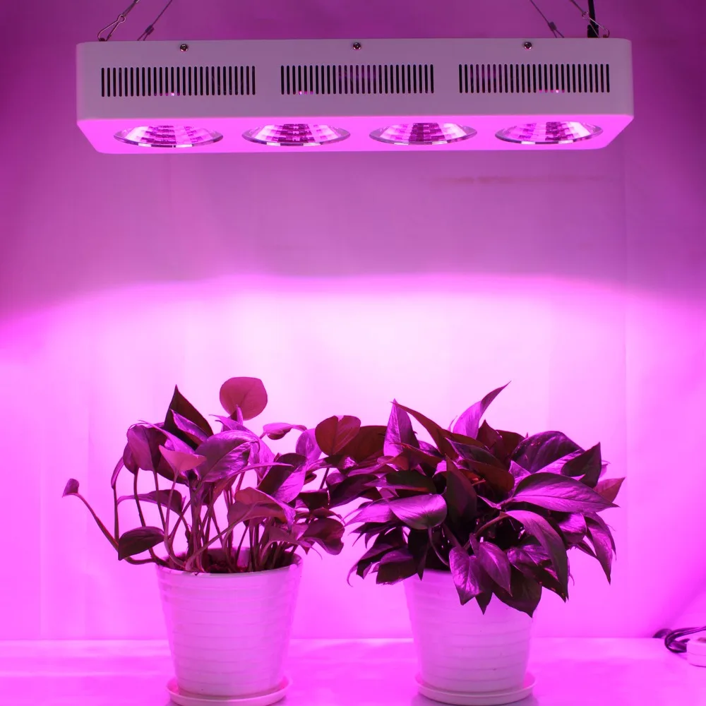 Populargrow 90 градусов отражатель чашки США полный спектр Led Grow Light 800 Вт COB со 100%