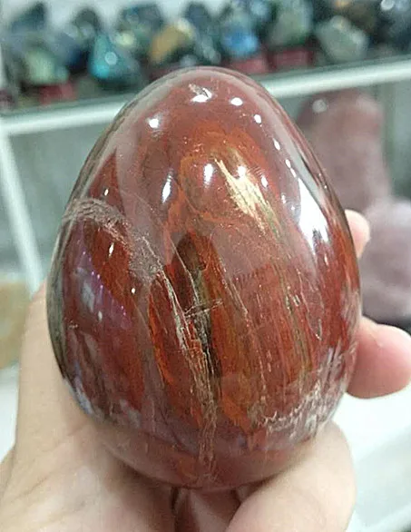 AAA-NATURAL-Petrified-Wood-Sphere-Polished-Egg-From-Madagascar_