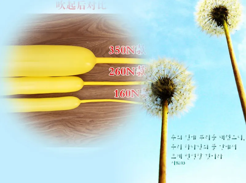 1610184257_1398297506