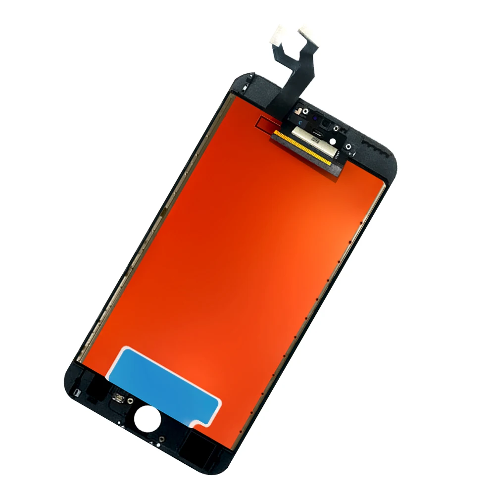 6Sfutu (2)