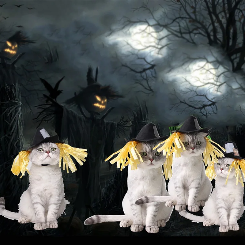 Hoomall Хэллоуин костюм для домашних животных головные уборы щенок собака кошки