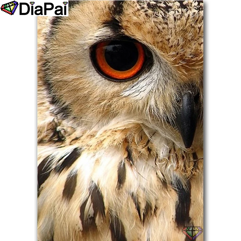 

DIAPAI 5D DIY Diamond Painting 100% Full Square/Round Drill "Animal owl" Diamond Embroidery Cross Stitch 3D Decor A22217