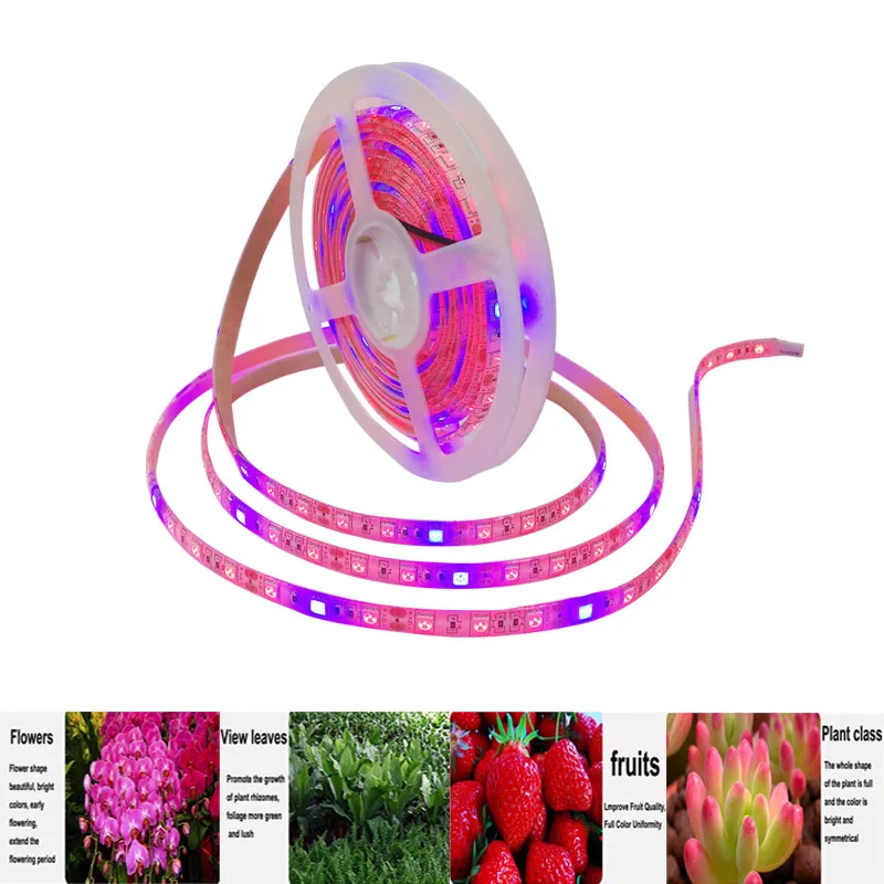 

DC12V LED Phyto Lamps Full Spectrum LED Strip Light 60leds/m 5050 Chip LED Fitolampy Grow Lights For Greenhouse Hydroponic plant