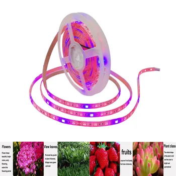 

DC12V LED Phyto Lamps Full Spectrum LED Strip Light 60leds/m 5050 Chip LED Fitolampy Grow Lights For Greenhouse Hydroponic plant