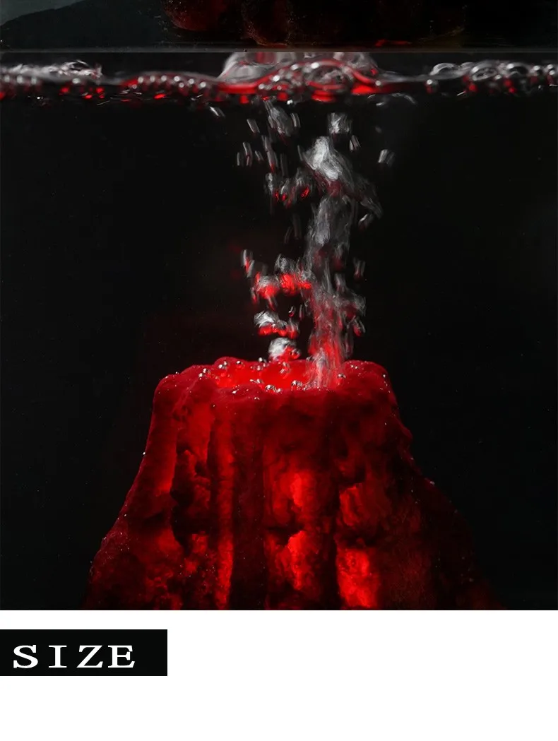02_conew1