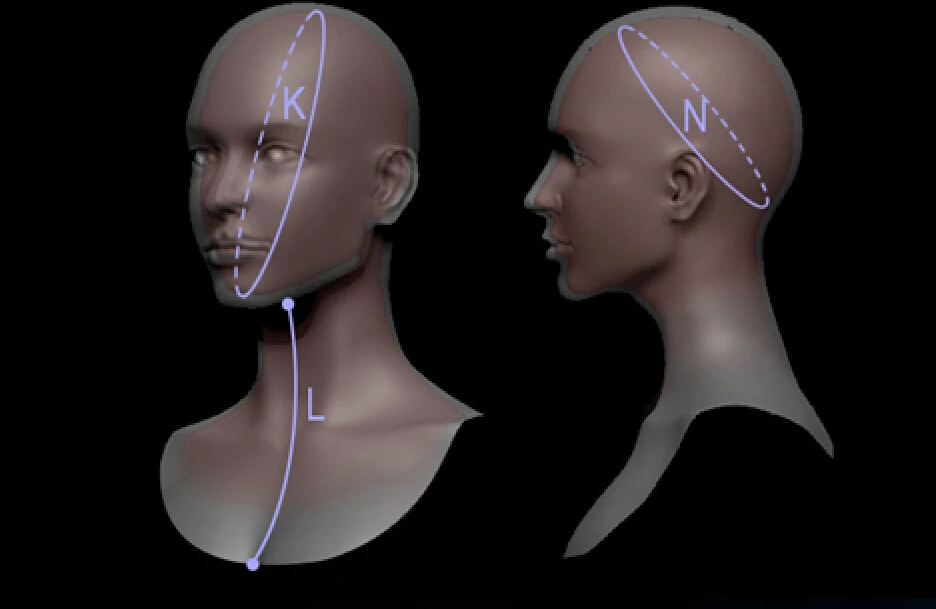 sf-13w