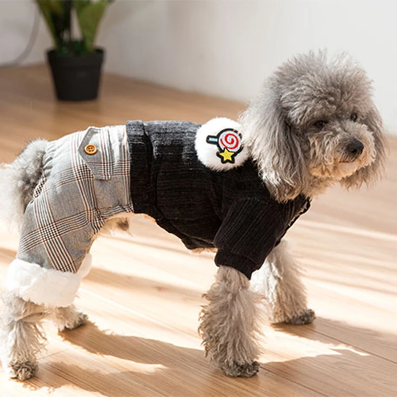 french bulldog sweater (13)