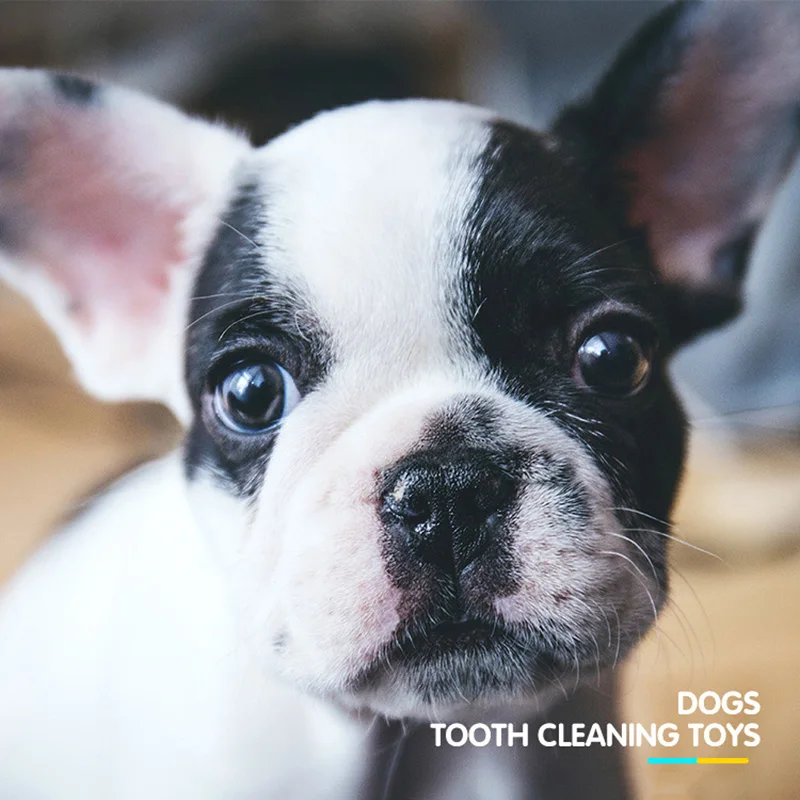 Multicolor-Rubber-Teeth-Biting-Ring-Play-Toy-Chew-Training-Resistance-to-Bite-Non-toxic-Rubber-Chew-Ring-Dog-Play-Toy-PT0056 (2)
