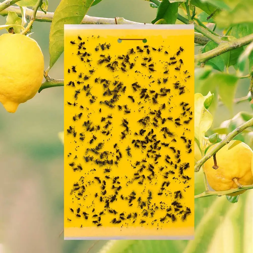 

40# 20Pcs PVC Dual-Sided Yellow Strongly Sticky Adhesive Fly Pest Bug Catcher Plate Insect Trap Tool
