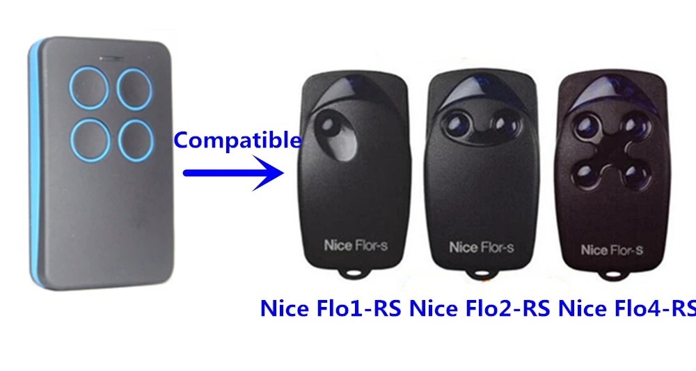 Nice Flors-2