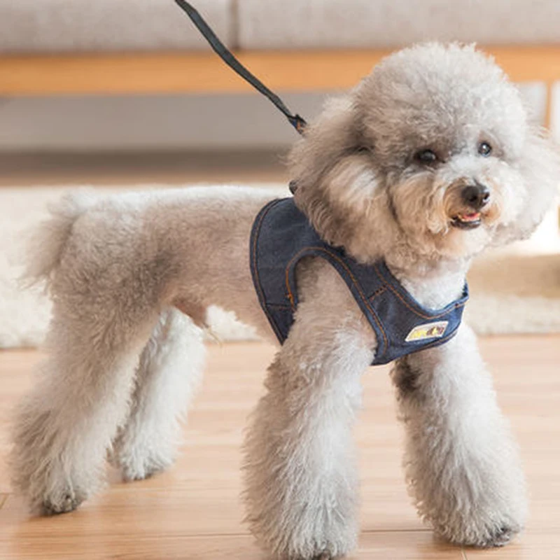 dog clothes (4)