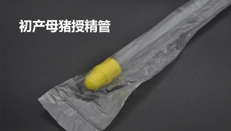 5037- details of 02.jpg _ primiparous sows insemination tube
